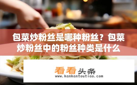 包菜炒粉丝是哪种粉丝？包菜炒粉丝中的粉丝种类是什么？
