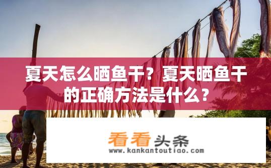 夏天怎么晒鱼干？夏天晒鱼干的正确方法是什么？