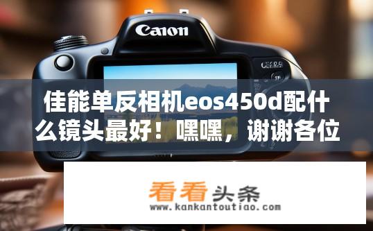 佳能单反相机eos450d配什么镜头最好！嘿嘿，谢谢各位？佳能EOS 450D最佳镜头搭配推荐？