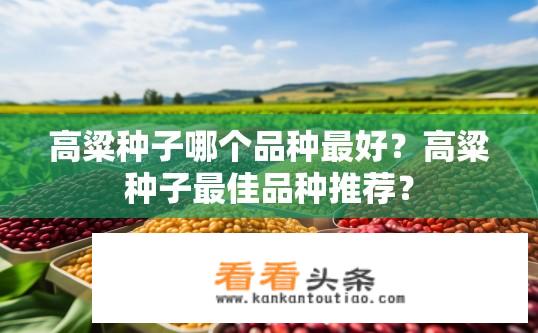 高粱种子哪个品种最好？高粱种子最佳品种推荐？