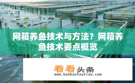 网箱养鱼技术与方法？网箱养鱼技术要点概览