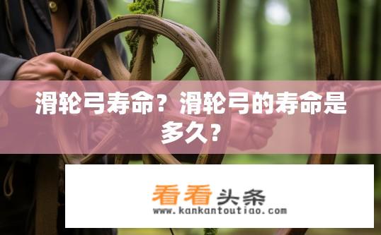 滑轮弓寿命？滑轮弓的寿命是多久？