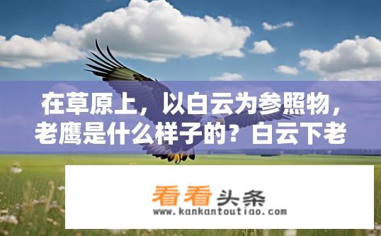 在草原上，以白云为参照物，老鹰是什么样子的？白云下老鹰草原之姿揭秘？