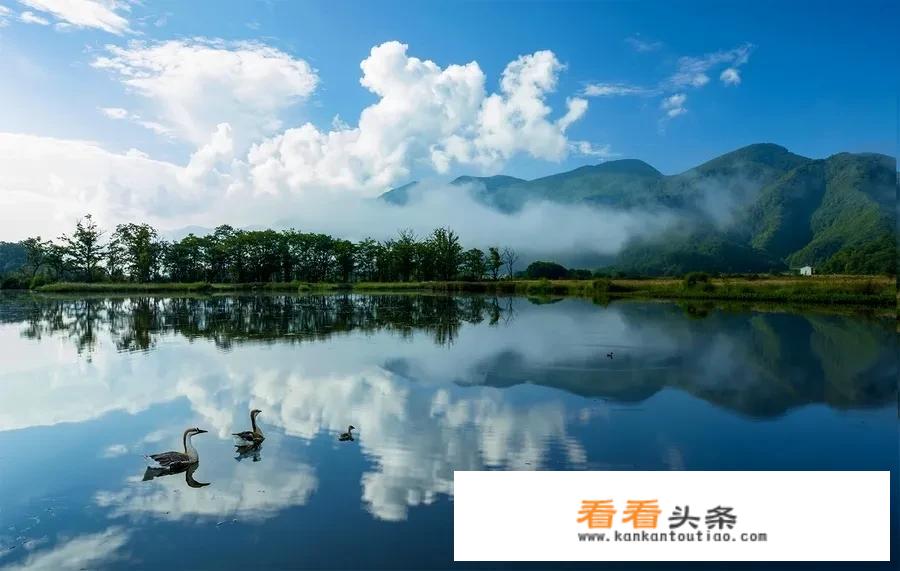 2023年五一免门票景区有哪些？