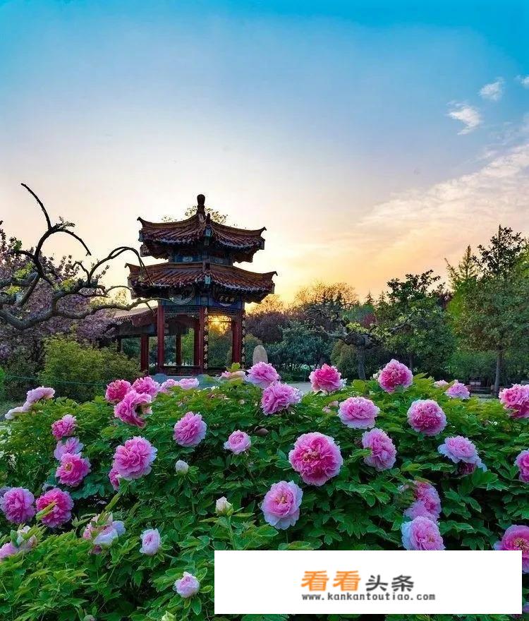 2023年五一免门票景区有哪些？