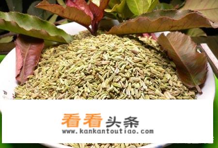 茴香馅饺子好吃吗？