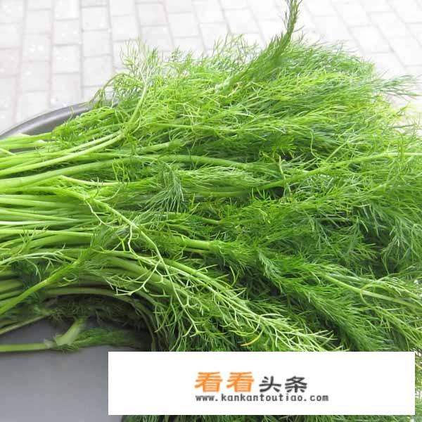 茴香馅饺子好吃吗？