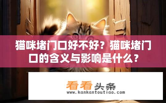 猫咪堵门口好不好？猫咪堵门口的含义与影响是什么？