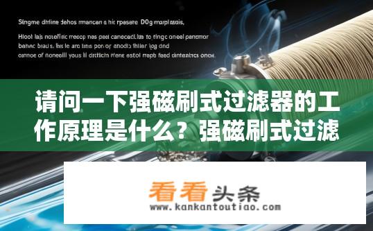 请问一下强磁刷式过滤器的工作原理是什么？强磁刷式过滤器工作原理简述？