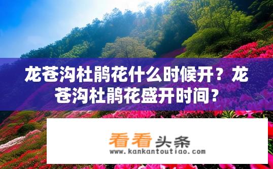 龙苍沟杜鹃花什么时候开？龙苍沟杜鹃花盛开时间？