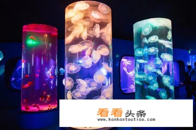 旅游去哪好呢，两三天的便宜点的，一家四口1000块钱吧？