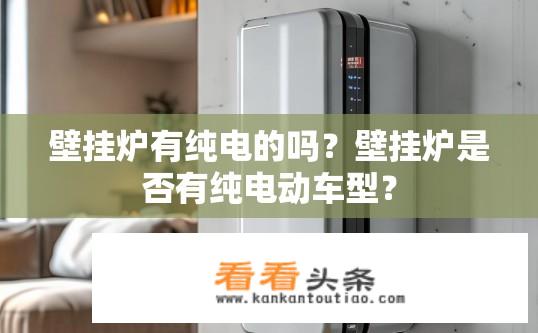 壁挂炉有纯电的吗？壁挂炉是否有纯电动车型？