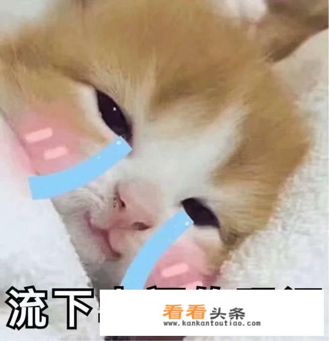 单身男女朋友出去旅游晚上住同一个房间双床适合吗？