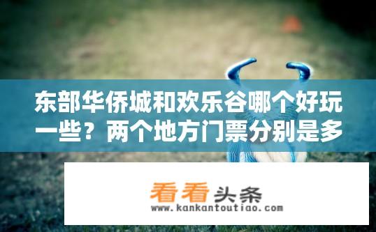 东部华侨城和欢乐谷哪个好玩一些？两个地方门票分别是多少钱？关于东部华侨城与欢乐谷哪个更好玩及门票价格疑问标题，符合您的要求，涵盖了关于东部华侨城和欢乐谷的游玩体验对比以及门票价格的信息。