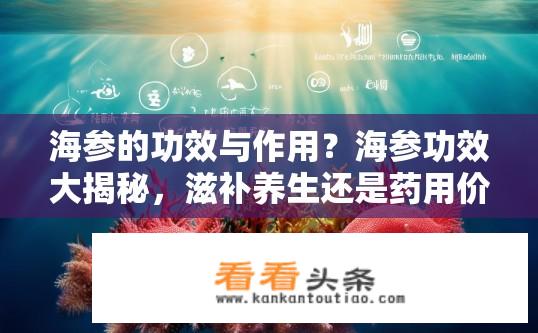 海参的功效与作用？海参功效大揭秘，滋补养生还是药用价值？