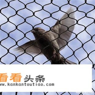 防鸟网修补方法？