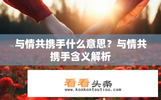 与情共携手什么意思？与情共携手含义解析