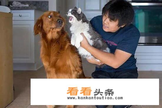 为什么她很喜欢用狗狗图片做微信头像？