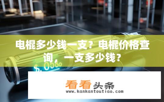 电棍多少钱一支？电棍价格查询，一支多少钱？