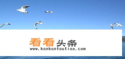11月份去北方北方哪里旅游最好国内？