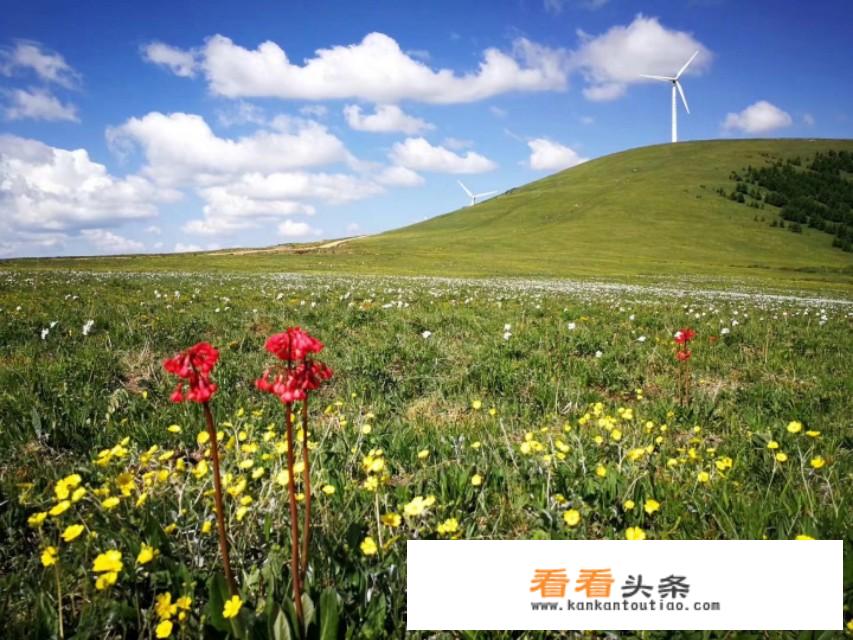 北方好玩的城市排行榜？