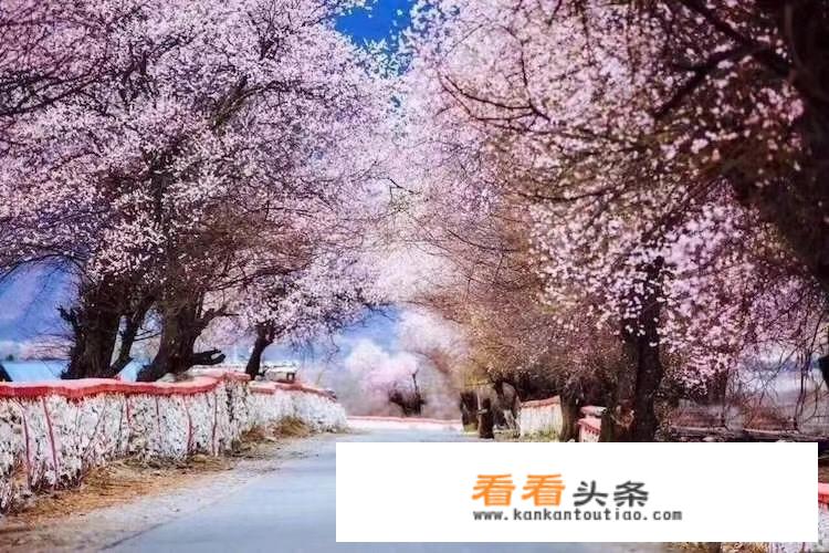 有人去过新疆吗？风景怎么样？民族风情怎么样？能否发几张照片？