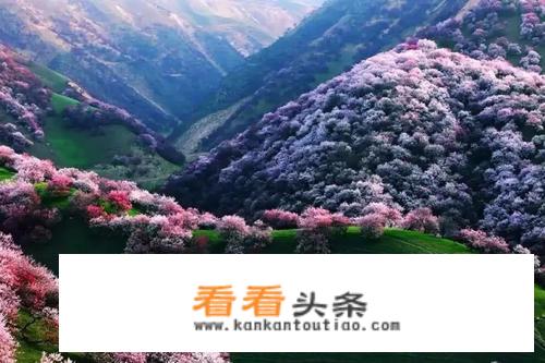 有人去过新疆吗？风景怎么样？民族风情怎么样？能否发几张照片？