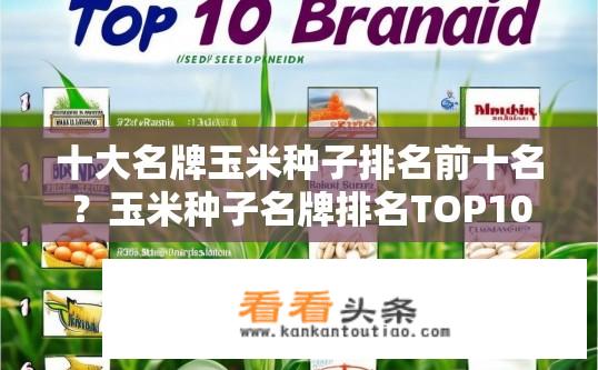 十大名牌玉米种子排名前十名？玉米种子名牌排名TOP10榜单揭晓？