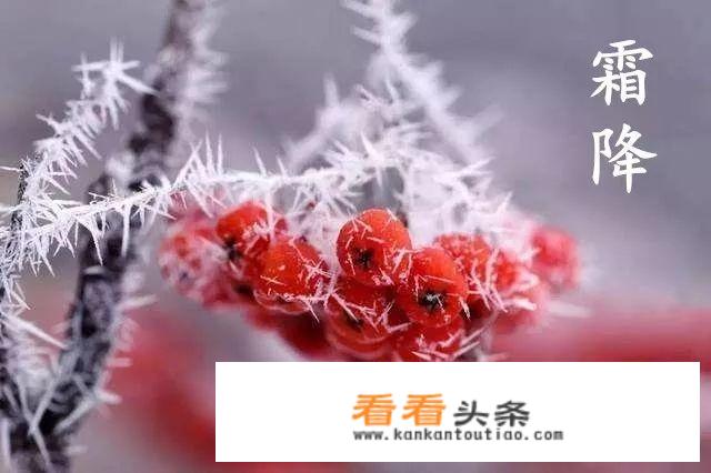 24节气都有哪些习俗？