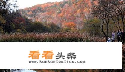延安甘泉劳山森林公园有什么特点？