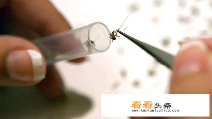 欧洲人和亚洲人的身体构造是一样的吗？