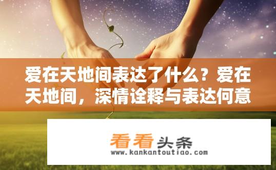爱在天地间表达了什么？爱在天地间，深情诠释与表达何意？