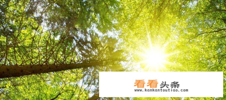 小窗播放进入游戏消失怎么办？