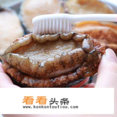 红烧鲍鱼螺家常做法简单？