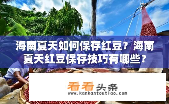 海南夏天如何保存红豆？海南夏天红豆保存技巧有哪些？