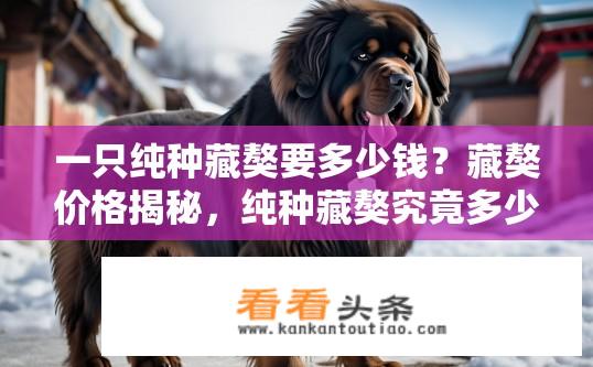 一只纯种藏獒要多少钱？藏獒价格揭秘，纯种藏獒究竟多少钱？