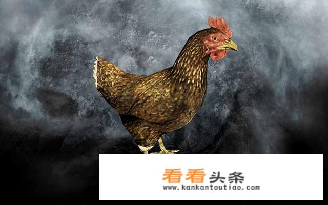 哪些游戏出现过“鸡神”的梗？