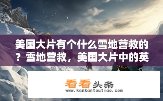 美国大片有个什么雪地营救的？雪地营救，美国大片中的英雄救援行动揭秘？