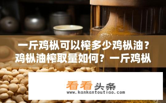 一斤鸡枞可以榨多少鸡枞油？鸡枞油榨取量如何？一斤鸡枞能榨多少油？