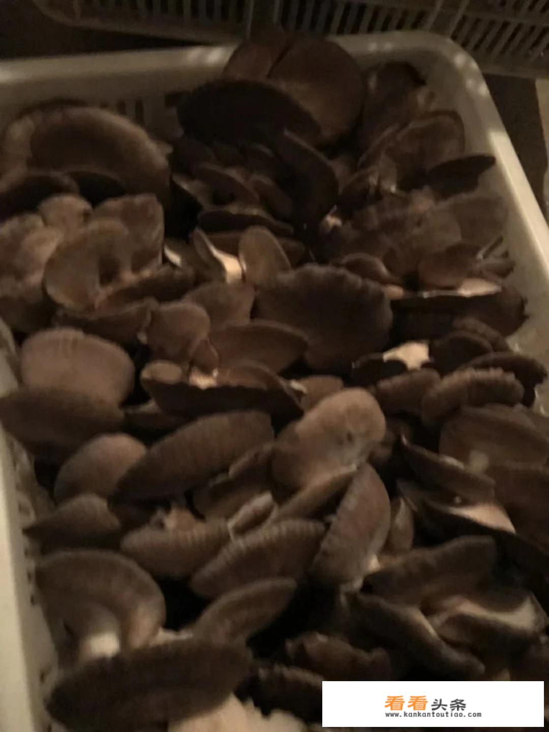 花菇和香菇有什么区别？