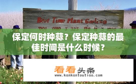 保定何时种蒜？保定种蒜的最佳时间是什么时候？
