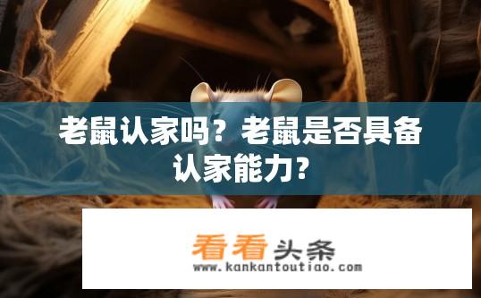 老鼠认家吗？老鼠是否具备认家能力？