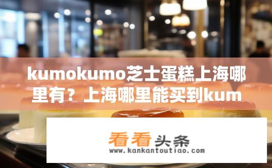 kumokumo芝士蛋糕上海哪里有？上海哪里能买到kumokumo芝士蛋糕？