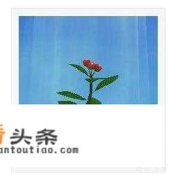 玩游戏扣话费吗？