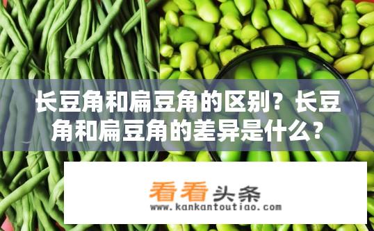 长豆角和扁豆角的区别？长豆角和扁豆角的差异是什么？