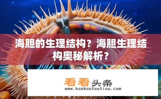 海胆的生理结构？海胆生理结构奥秘解析？