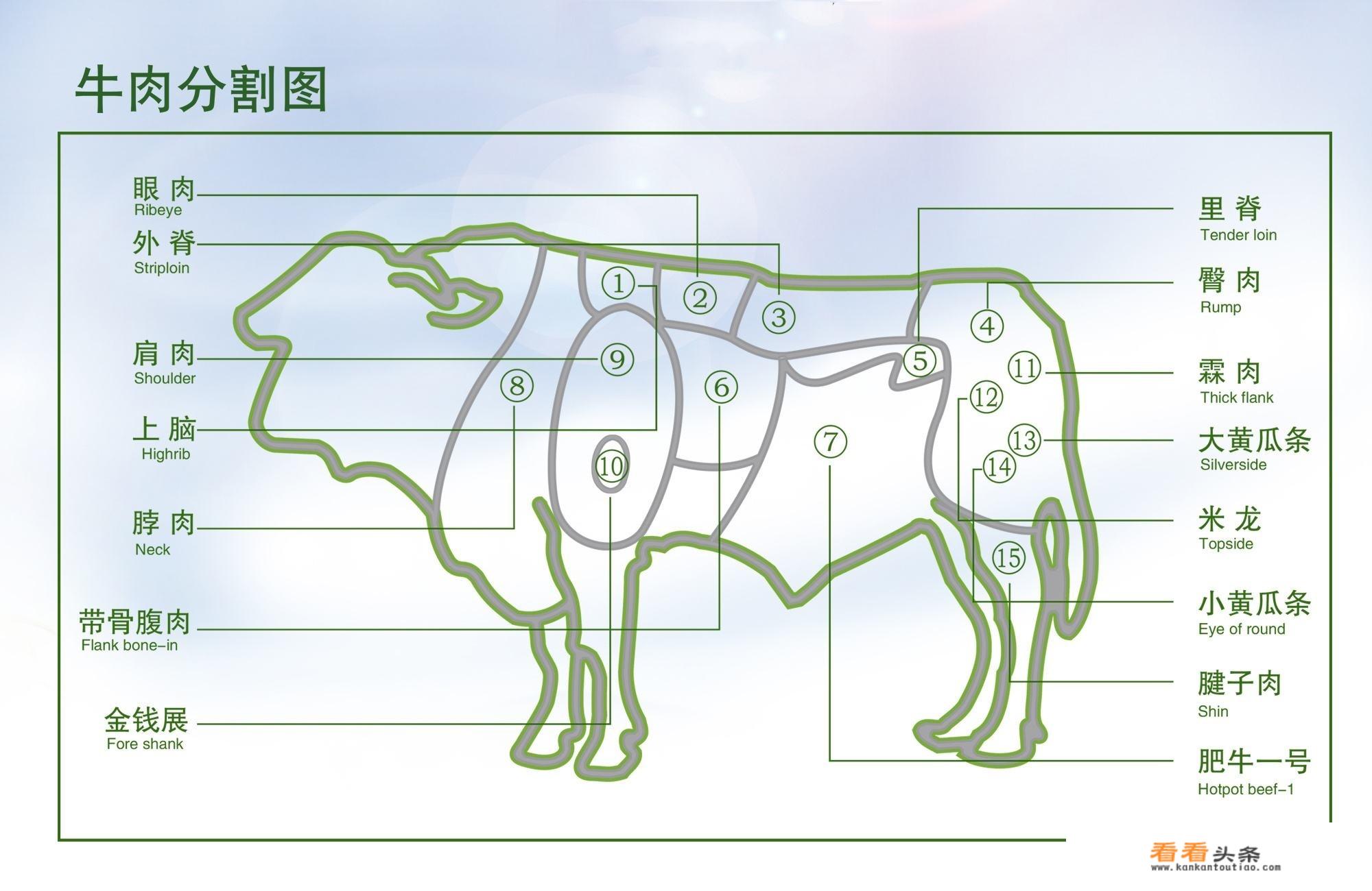 煮牛肉汤的家常做法？