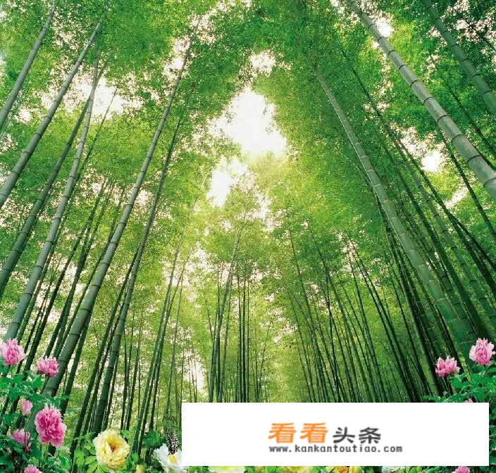 2021年11月份蜜月可以去哪儿旅行？