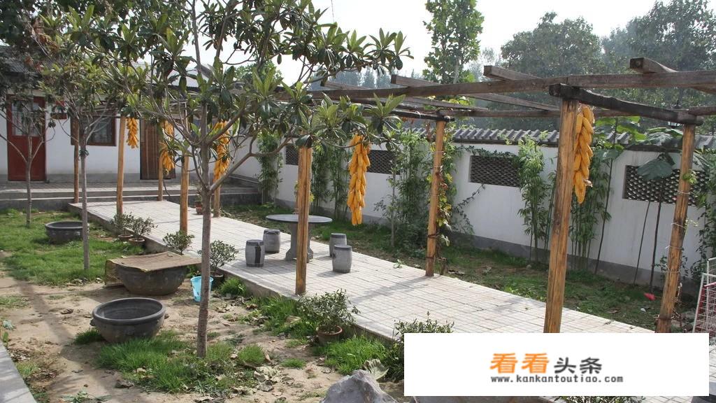 郑州哪有农家乐啊？可以钓鱼吗？