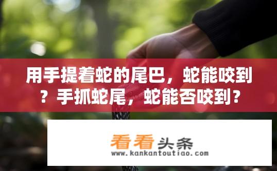 用手提着蛇的尾巴，蛇能咬到？手抓蛇尾，蛇能否咬到？